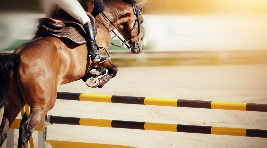 The brown horse overcomes an obstacle. Equestrian sport, jumping.